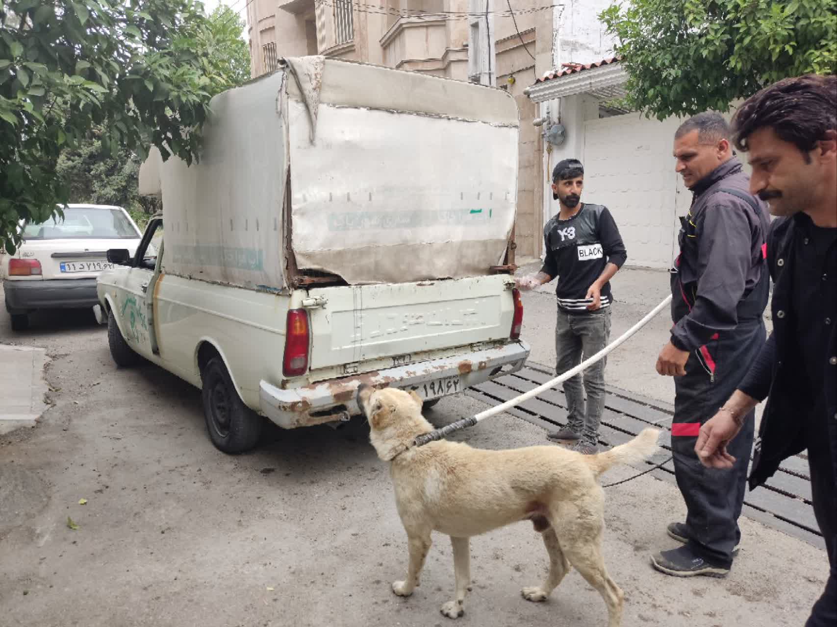 طی درخواست شهروندی صورت گرفت :