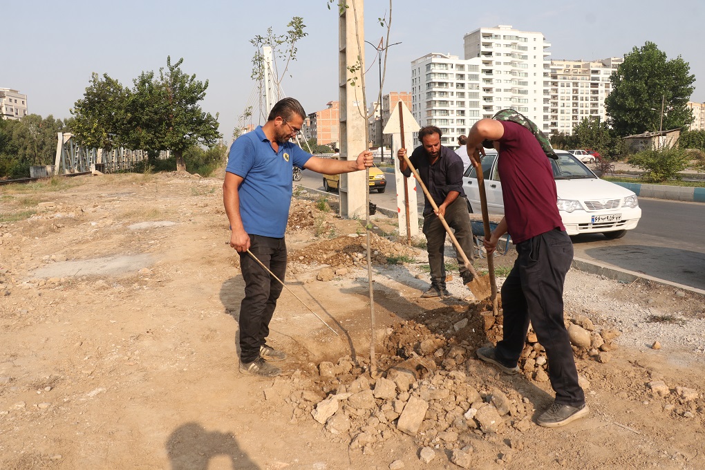 کاشت نهال در حاشیه بلوار شهید رئیسی